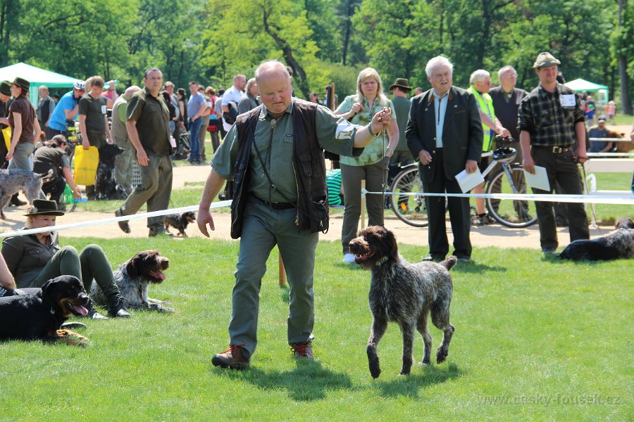 pan Sobolík, Akira Čapí miss (3)